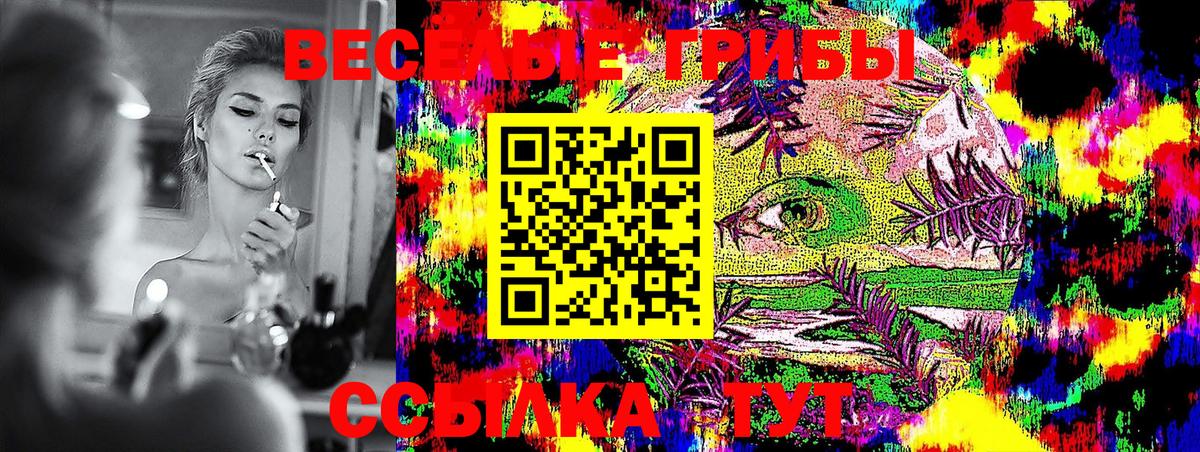 Ростов Великий  Псилоцибиновые грибы Magic Shrooms  Вход с VPN  Галлюциногенные грибы ЛСД 